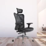 Sihoo M57 Office Chair review