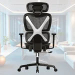 Gabrylly Ergonomic Mesh Office Chair